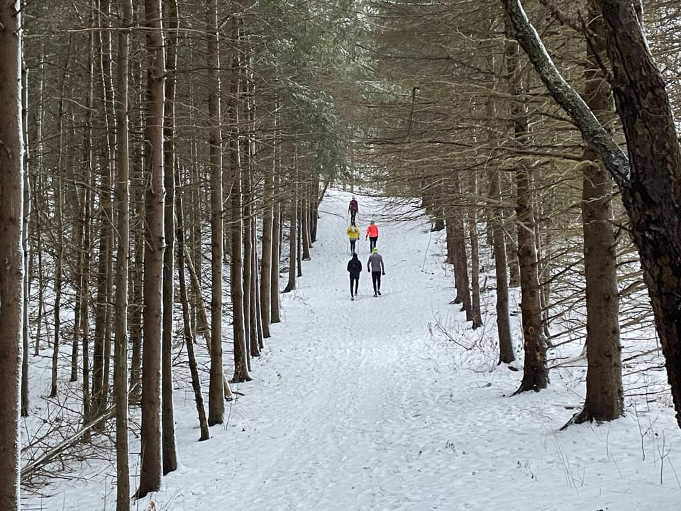 The Quiet Strength of Winter